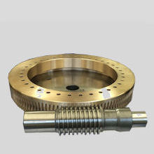 Dual Lead Worm Gears from Renold Gears